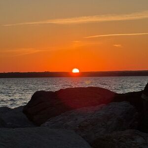 Meet your Posher, Elaine